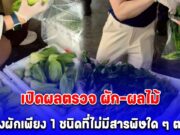 เปิดผลตรวจ ผัก-ผลไม้ นำเข้าด่านเชียงของ สารพิษเกินมาตรฐาน 7 ใน 10 มีเพียงผักเพียง 1 ชนิดที่ไม่มีสารพิษใด ๆ ตกค้าง