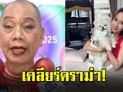 อุ๊บ วิริยะ เคลียร์ดราม่า โพสต์ฝากแมวให้ อั้ม พัชราภา เลี้ยงต่อ