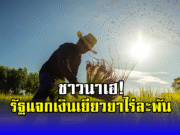 ชาวนาเฮ! รัฐแจกเงินเยียวยาไร่ละพัน