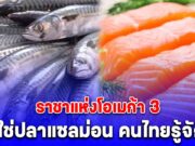เข้าใจผิดมาตลอด! ราชาแห่งโอเมก้า 3 ไม่ใช่ปลาแซลม่อน คนไทยรู้จักดี