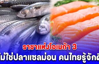 เข้าใจผิดมาตลอด! ราชาแห่งโอเมก้า 3 ไม่ใช่ปลาแซลม่อน คนไทยรู้จักดี