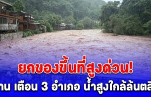 ยกของขึ้นที่สูงด่วน! น่าน เตือน 3 อำเภอ น้ำสูงใกล้ล้นตลิ่ง เที่ยงนี้มาแน่