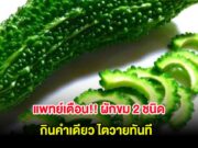 แพทย์เตือน!! ผักขม 2 ชนิด กินคำเดียว ไตวายทันที
