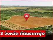3 จังหวัด ราคาที่ดินพุ่งแรงสุดในปี 2568 นักลงทุนอสังหาจ้องตาเป็นมัน ใครมีที่แถวนี้เตรียมรวย!