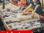 อย่าเห็นแก่ของถูก!!! ปลา 3 ประเภท ที่ควรกินให้น้อย เพราะอาจเพิ่มความเสี่ยงมะเร็ง