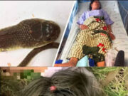 หนุ่มมาย้ายของที่บ้านเก่า ได้ยินเสียงแปลกๆในที่นอนเก่า