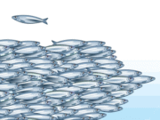 เข้าใจผิดมาตลอด! ราชาแห่งโอเมก้า 3 ไม่ใช่ปลาแซลม่อน แต่เป็นปลาชนิดนี้ คนไทยรู้จักดี