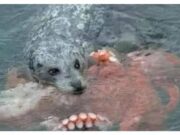 คลิปช็อกออนไลน์! หนุ่มรีบเข้าช่วย “ลูกหมาตกน้ำ” แต่เห็นใกล้ๆ เหงื่อแตกพลั่ก เผ่นหนีตาย!