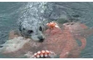 คลิปช็อกออนไลน์! หนุ่มรีบเข้าช่วย “ลูกหมาตกน้ำ” แต่เห็นใกล้ๆ เหงื่อแตกพลั่ก เผ่นหนีตาย!