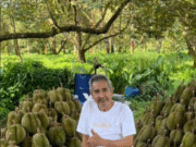 “ภาพล่าสุด ชลิต เฟื่องอารมย์ ในวัย76 ปีกับผลผลิต ทุเรียนปีนี้”