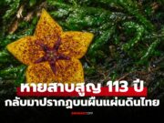 สุดฮือฮา! “พืชหายาก” ที่หายจากโลกนาน 113 ปี แต่กลับถูกพบที่ประเทศไทย