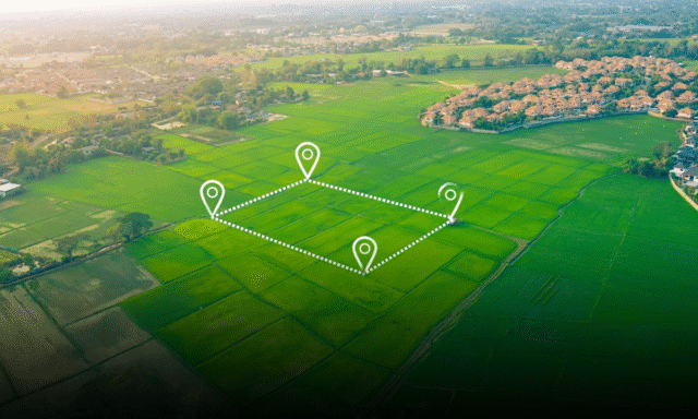 wmremove-transformed-14-1