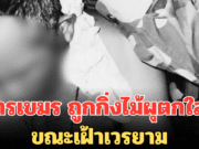 หัวจะปวด! ทหารเขมร ถูกกิ่งไม้ผุตกใส่หัว ขณะเฝ้าเวรยาม