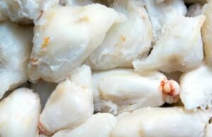 เผยปริศนา “เนื้อปูก้อน” ทำไมถึงราคาแพง ชาวประมงชี้ ความยากในการผลิตคือคำตอบ