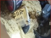 ฮือฮา รังต่อติดป้ายรถจยย. เชื่อม 2 คันติด ชาวเน็ตแห่ซูมทะเบียน