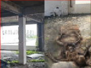 รู้ตัวแล้ว โครงกระดูกปริศนาบนตึกร้าง ฟังญาติเล่ายิ่งตกใจ