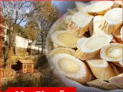 ทีวียังไปถ่าย “หมู่บ้านไร้มะเร็ง” สัมภาษณ์จนรู้เคล็ดลับ แค่กิน 1 สิ่ง สุขภาพดีแถมอายุยืน