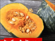 เพชฌฆาตเงียบใน “ฟักทอง” สาววัย 28 ป่วยมะเร็งตับ กินพิษเข้าไปทุกวันโดยไม่รู้ตัว