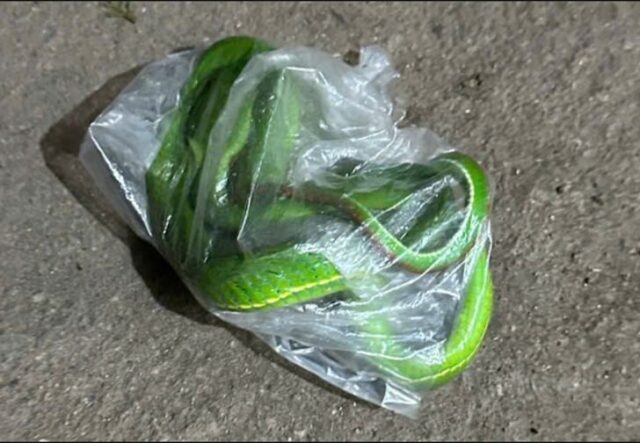 56124490811358648120903978914