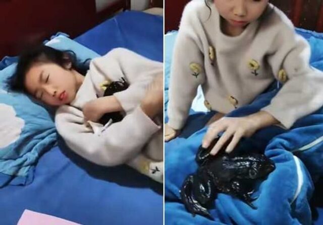 b188e54a8dd0b9026a2452b637281