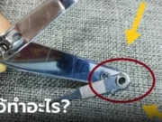 ไขข้อข้องใจ รูกลมเล็กๆ บนด้ามจับ “กรรไกรตัดเล็บ” มีประโยชน์อย่างไร?