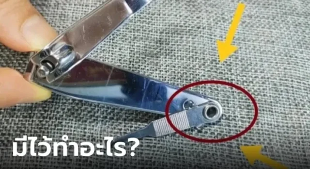 tagline-template-update-april-2-735x400-1