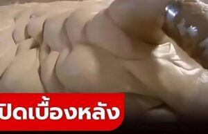 เปิดเบื้องหลัง “ฮอตด็อกทำมาจากอะไร” รู้แล้วอาจกินไม่ลงอีกเลย