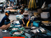 ปลา 4 ชนิด ที่ควร “เลิกกิน” ตั้งนานแล้ว แต่หลายคนยังเผลอกินอยู่