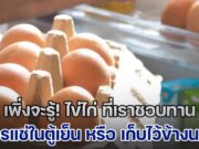 ผิดคาดมาก!! ไข่ไก่ ควรแช่ในตู้เย็น หรือ เก็บไว้ข้างนอก ถึงจะถูกต้อง หลายคนเข้าใจผิดมาตลอด