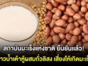 สถาบันมะเร็งแห่งชาติ ยืนยันเเล้ว! ข่าวน้ำเต้าหู้ผสมถั่วลิสง เสี่ยงให้เกิดมะเร็ง