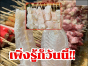 เพิ่งรู้ก็วันนี้!! ปลาดอรี่ที่เราชอบกิน แต่จริงๆแล้วมันคือปลาที่คาดไม่ถึง