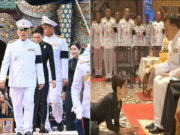 ในหลวง พระราชทานน้ำมหาสังข์ เจ้าคุณพระสินีนาถ…