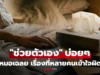 แพทย์ตอบล่าสุด “ช่วยตัวเอง” ทำบ่อยๆ เร่งเสื่อมสมรรถภาพ สาเหตุ “นกเขาไม่ขัน” จริงหรือ?!