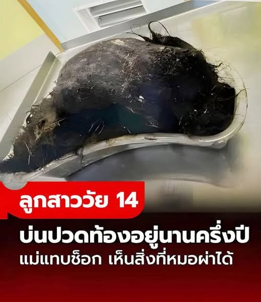 600294671_1430118855784688_1011842838319409441_n