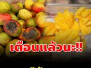 เตือนแล้วนะ! ผลไม้ 3 แบบที่ เซลล์มะเร็ง ชื่นชอบ หมอยังไม่กล้าแตะ แต่หลายคนกลับกินทุกวัน