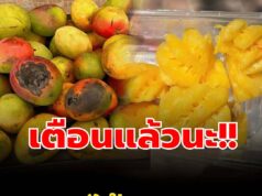 เตือนแล้วนะ! ผลไม้ 3 แบบที่ เซลล์มะเร็ง ชื่นชอบ หมอยังไม่กล้าแตะ แต่หลายคนกลับกินทุกวัน