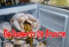 ยึดเงินสดกว่า 28 ล้านบาท พร้อมทองคำแท่งและเครื่องประดับจำนวนมาก ที่ซุกซ่อนอยู่ในท้องไก่แล