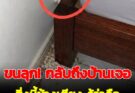 ขนลุก! กลับถึงบ้านเจอสิ่งนี้ข้างเตียง รู้ว่าคืออะไรแทบไม่กล้านอน